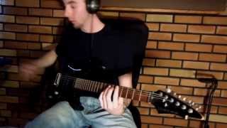 Five Finger Death Punch - Burn It Down (Guitar Cover)