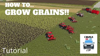 How To Grow Wheat, Barley, Oats, Canola, and Soybeans in Farming Simulator 19!!