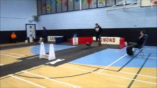 preview picture of video 'Lomond Flyball Carnoustie 22 03 2014'