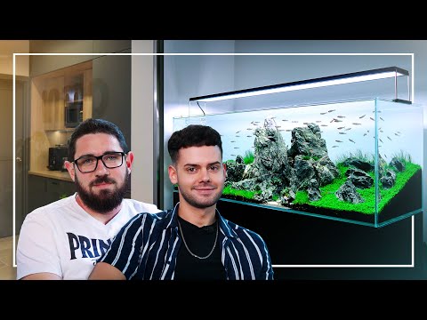 Tommy REACTS to David's 120P Iwagumi Client Tank | Quality Control