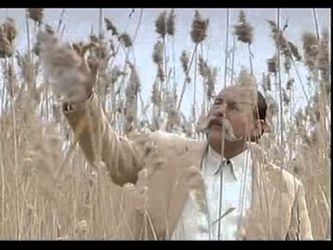 jonathan settel,amen