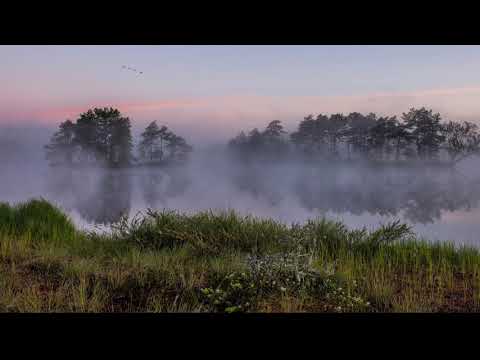 Jaanika Ventsel - Soov