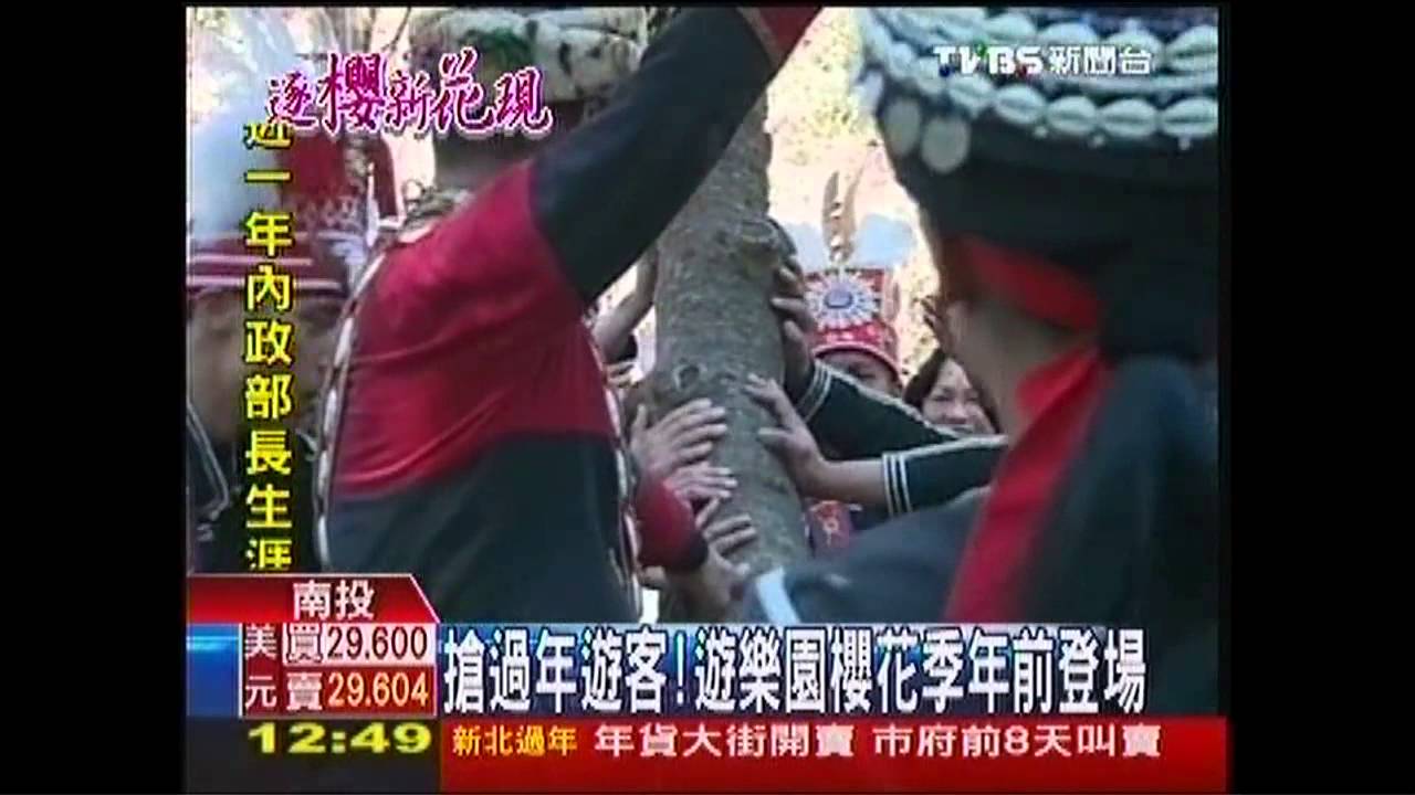 搶過年遊客! 遊樂園櫻花季年前登場