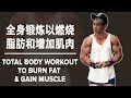 全身锻炼以燃烧脂肪和增加肌肉 (Eng Sub) Total Body Workout to Burn Fat & Gain Muscle | Terrence Teo