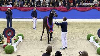 Video af Sandro Junior