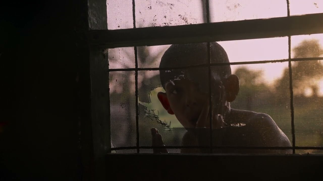 Ella se detiene a mirar, trailer