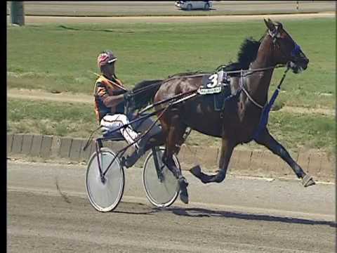 Trotto 07/05/2017 - 1ª corsa