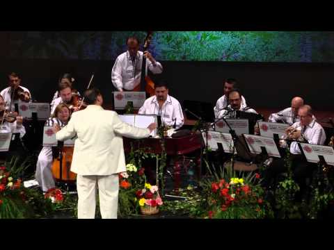 Orchestra Ansamblului Profesionist Drăgan Muntean - Suită