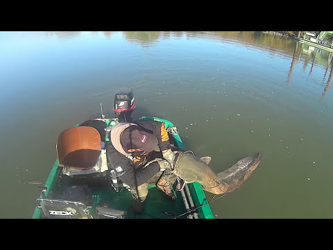 MAN FIGHT BIG CATFISH FROM BOAT by CATFISH WORLD