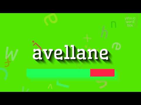 AVELLANE - HOW TO SAY AVELLANE? #avellane