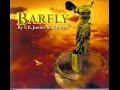 Mr - Electronic Funk (Kaje remix) [Barfly]