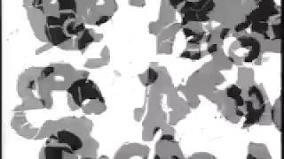 Q&#39;s music, Dink, Green Mind