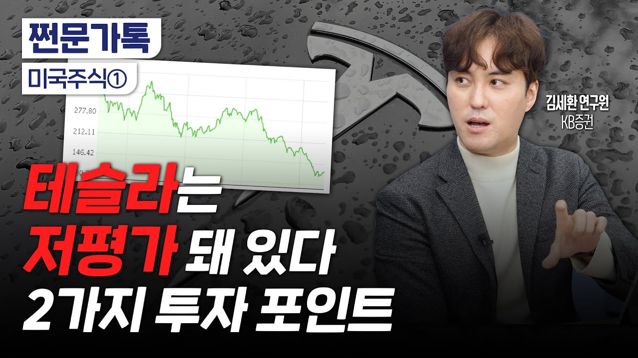 테슬라 지금 사도 되나요?｜저평가 된 미국 반도체 종목｜김세환 KB증권 연구원