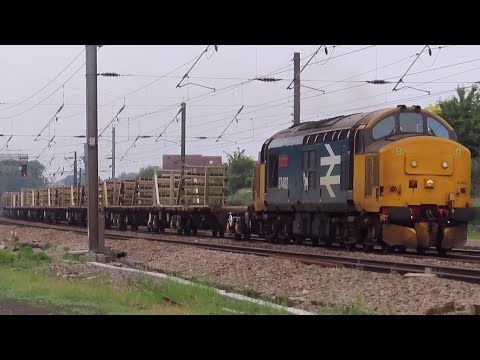 BR Large Logo 37402 'Stephen Middlemore' on Engineers Workings @ Dringhouses (York) | 16/06/2020