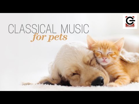 Classical Music for Pets