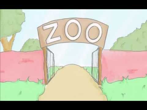The Zoo