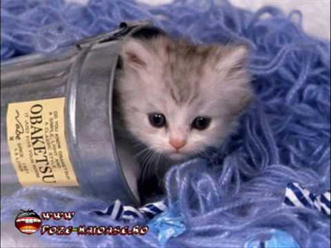 Am Nevoie De Tine...