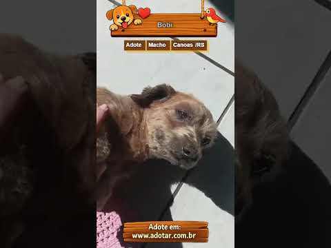 Vídeo de Bóbi