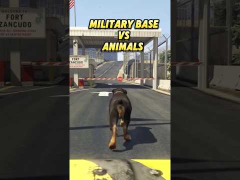 Consequence of entering the military base of gta 5 with an animal  #gta #gaming #gta5