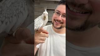 Parrot Stars Summer Festival is a Good Time!