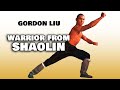 Wu Tang Collection Warrior From Shaolin