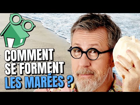 How are tides formed? 🌊