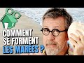 How Are Tides Formed