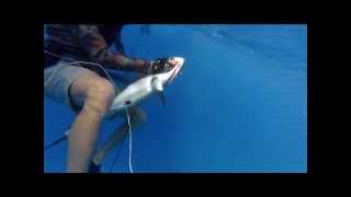 A day in Toau  atoll 23 08 2013