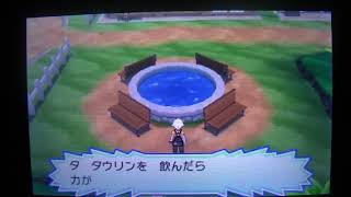 タウリンの妖精（清掃員）【ポケモンウルトラサンムーン】