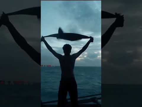 Phoenix - We Rise | Tom Swoon, Belle Humble & Dank | Full Screen Status | English