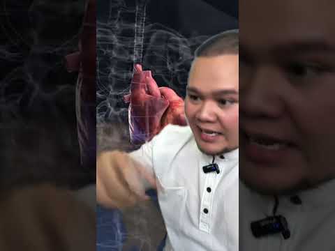 ZARA ZYA MENGHIDAP KANSER BUAH PINGGANG TAHAP PERTAMA.. SIMPTOM APA PUN TAKDAK.?