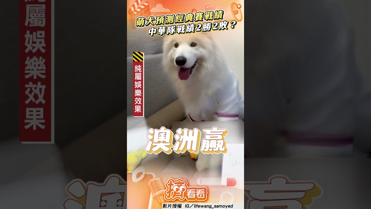 影音/薩摩耶預測經典賽戰績 中華隊戰績恐「2勝2敗」?