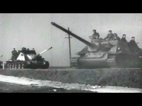 Red Army SU-100 Tank Destroyer (WW2)