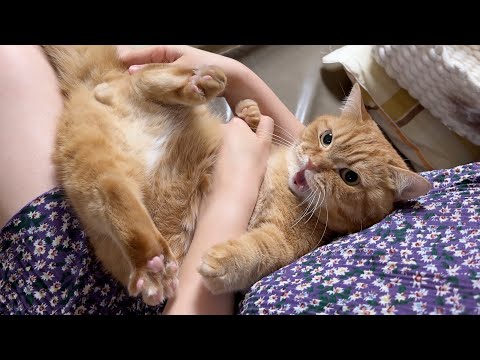 나 진짜로 화났다! 당장 놓지 못해?!