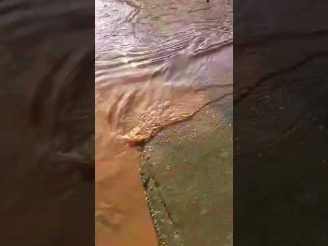 Rompimento da barragem de terra usada para irrigação em Senador Amaral,Sul de Minas.