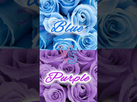 Blue 💙 vs Purple 💜 colour challenge #shorts #chooseyourgift #tiktok #funny #viralshort #gaming