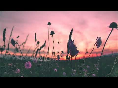 Norman H, 116 Db, Amber Long - Take Me (Chaum, Hannes Wiehager & Highjacks Remix)