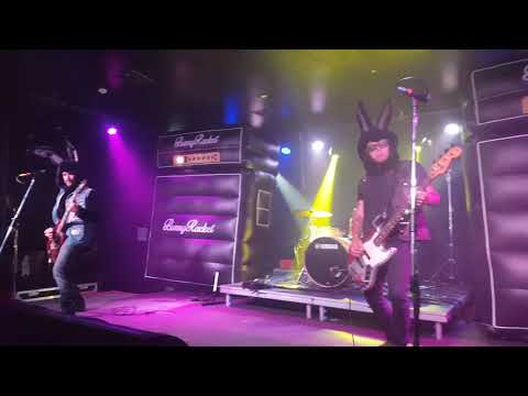 Bunny Racket. Koala Bear