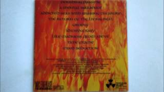 Disharmonic Orchestra - A Mental Sequence