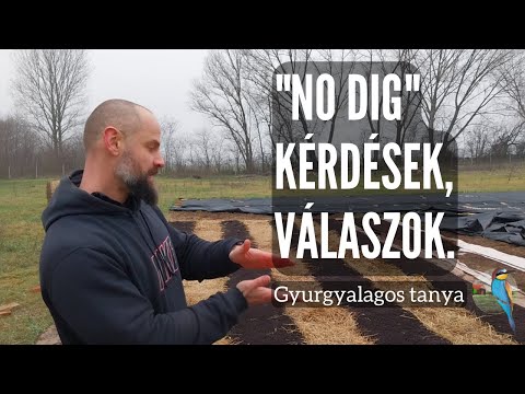 No dig, kérdések és válaszok (és a munka jelenlegi állása)