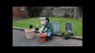 The English Garden Magazine - Garden Containers