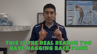 Why Your Back Pain Keeps Coming Back: PT Explains the Real Reason Everyday Activities Trigger Pain!