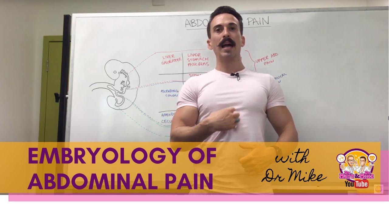 Abdominal Pain | Embryology