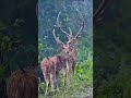 Nature Love Kaise Din Bite Koi Jatan English Education Youtubeshorts Youtubeshort Youtuber