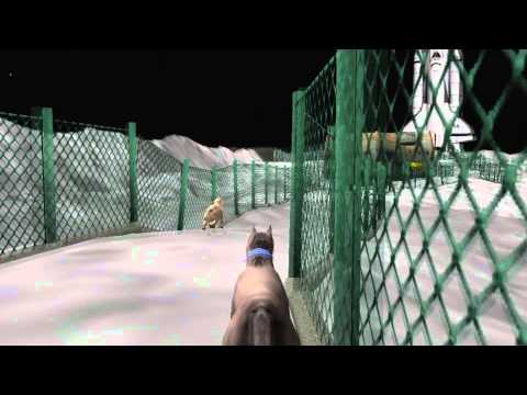 The Zoo Race - Worst Game ever? (1080p Gameplay, No commentary)