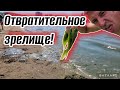 Анапа. Что заставляет отдыхающих бежать отсюда Папа с Юга