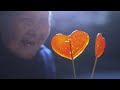 The Life Of Wheat Which Is Your Favorite Food Made From Wheat 丨Liziqi Channel