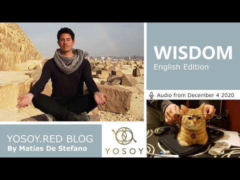 Matías De Stefano, Day 123, WISDOM - YOSOY BLOG: Throat - Mental - Sagittarius, Read by Celena 12/04