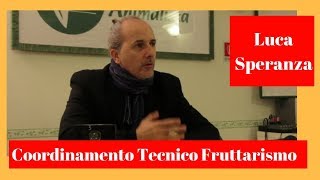 Anteprima video YouTube