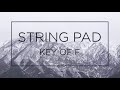 STRING PAD KEY OF F/ Dm for Backing Track